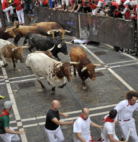 Un encierro masivo y sin cornadas en el domingo de Sanfermines