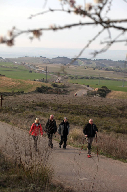 Javierada. Los peregrinos de la Ribera almuerzan en el yugo y atraviesan las Bardenas, camino de Javier
