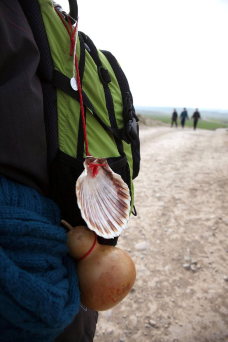 Javierada. Los peregrinos de la Ribera almuerzan en el yugo y atraviesan las Bardenas, camino de Javier