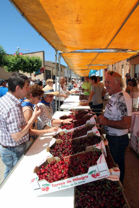 Imágenes de la XVIII Fiesta de la Cereza de Milagro.