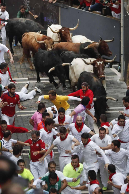 Imágenes del cuarto encierro de San Fermín de Pamplona
