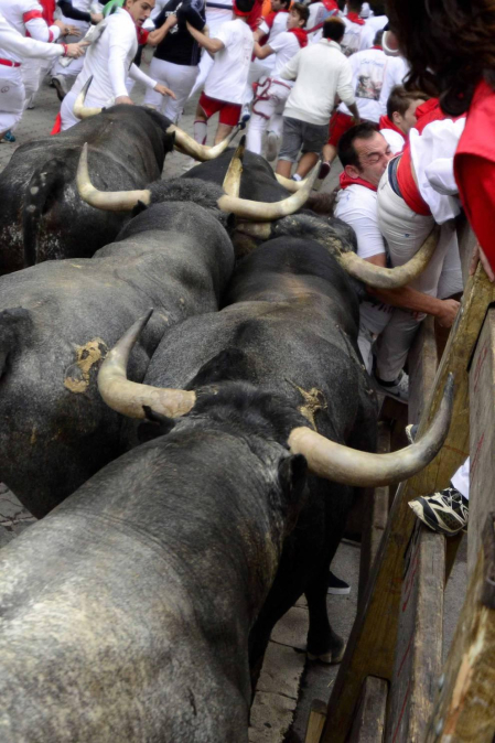 Imágenes del octavo encierro, protagonizado por los Miura