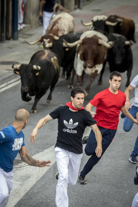Segundo encierro de fiestas de Tafalla con la ganadería Macua 2017