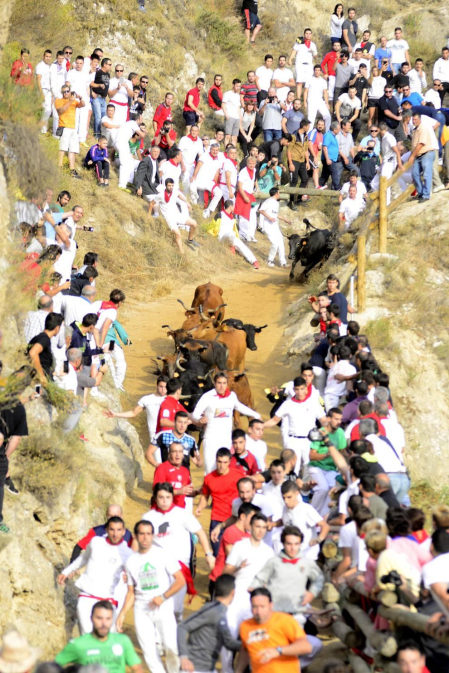 Imágenes del cuarto encierro del Pilón de Falces.