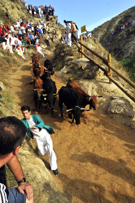 Imágenes del cuarto encierro del Pilón de Falces.