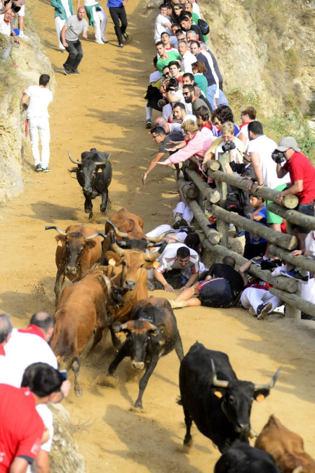 Imágenes del cuarto encierro del Pilón de Falces.