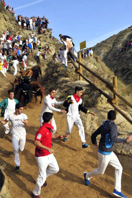 Imágenes del cuarto encierro del Pilón de Falces.