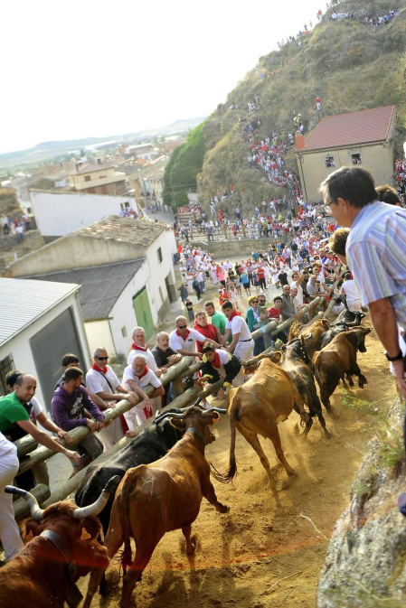 Imágenes del cuarto encierro del Pilón de Falces.