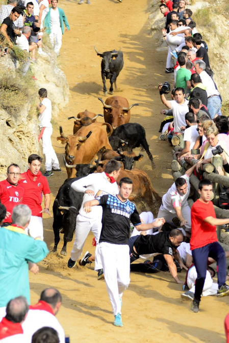 Imágenes del cuarto encierro del Pilón de Falces.
