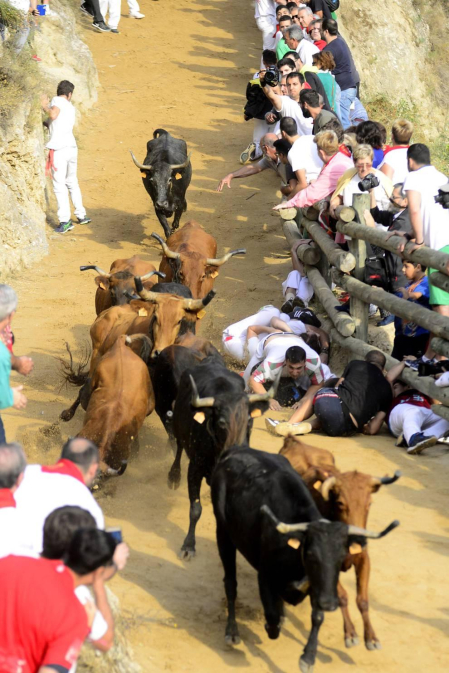 Imágenes del cuarto encierro del Pilón de Falces.