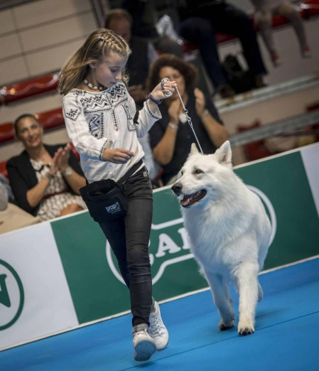 Más de 400 perros compitieron ayer en la XXXI Exposición Nacional Canina de Navarra y en la XXV Internacional que tuvo lugar en recinto ferial Refena