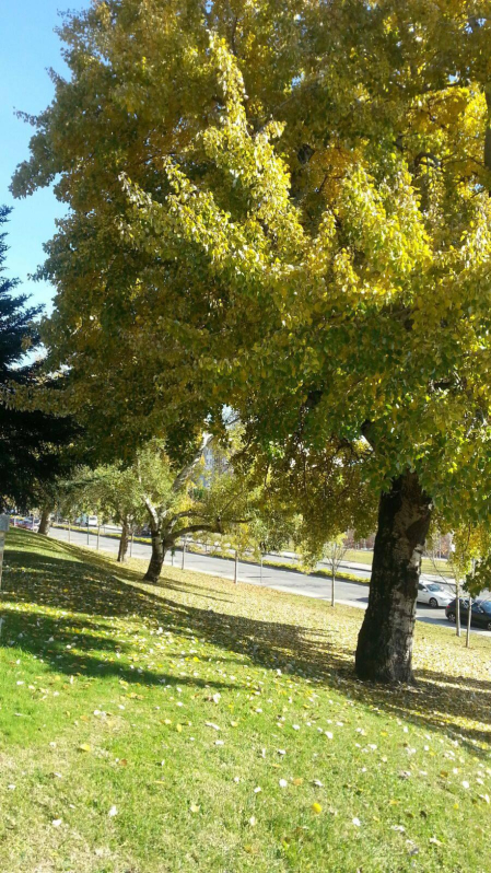 El otoño, retratado por los lectores de Diariodenavarra.es.