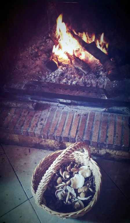 El otoño, retratado por los lectores de Diariodenavarra.es.