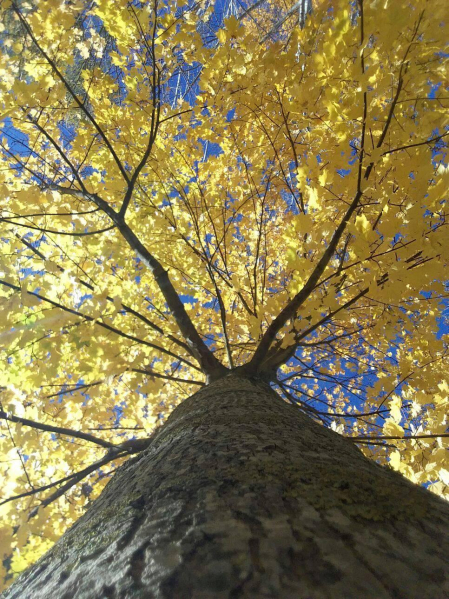 El otoño, retratado por los lectores de Diariodenavarra.es.