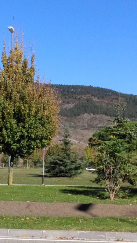 El otoño, retratado por los lectores de Diariodenavarra.es.