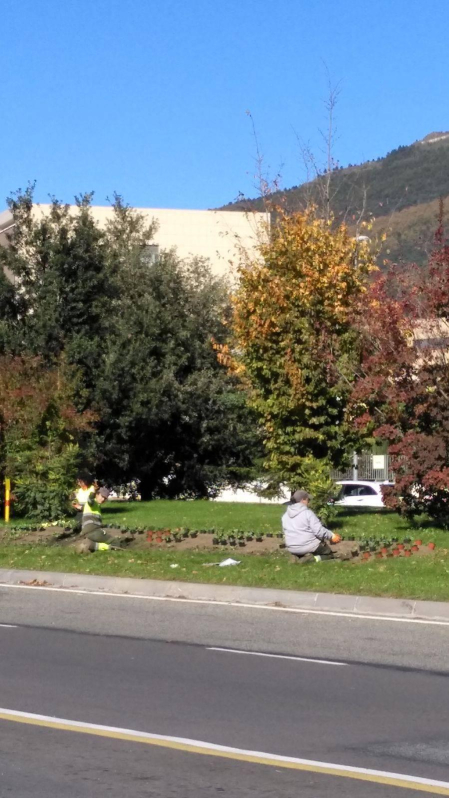 El otoño, retratado por los lectores de Diariodenavarra.es.