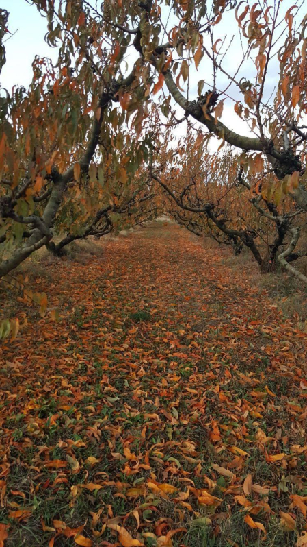El otoño, retratado por los lectores de Diariodenavarra.es.