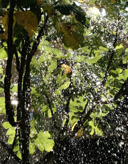 El otoño, retratado por los lectores de Diariodenavarra.es.
