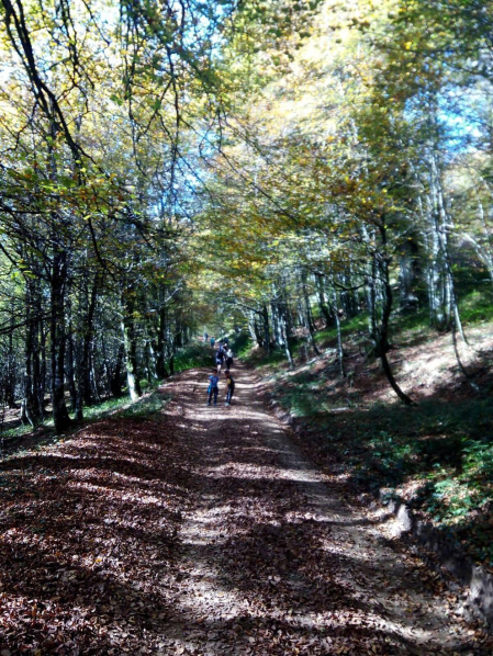 El otoño, retratado por los lectores de Diariodenavarra.es.