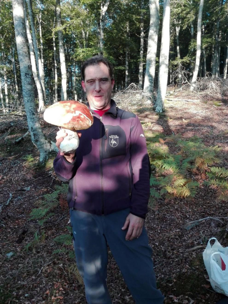 El otoño, retratado por los lectores de Diariodenavarra.es.