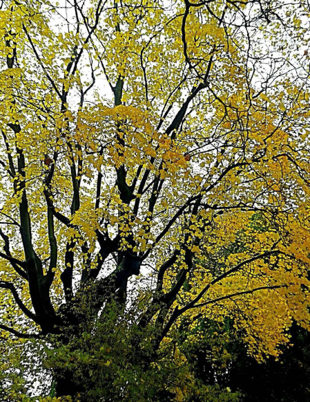 El otoño, retratado por los lectores de Diariodenavarra.es.