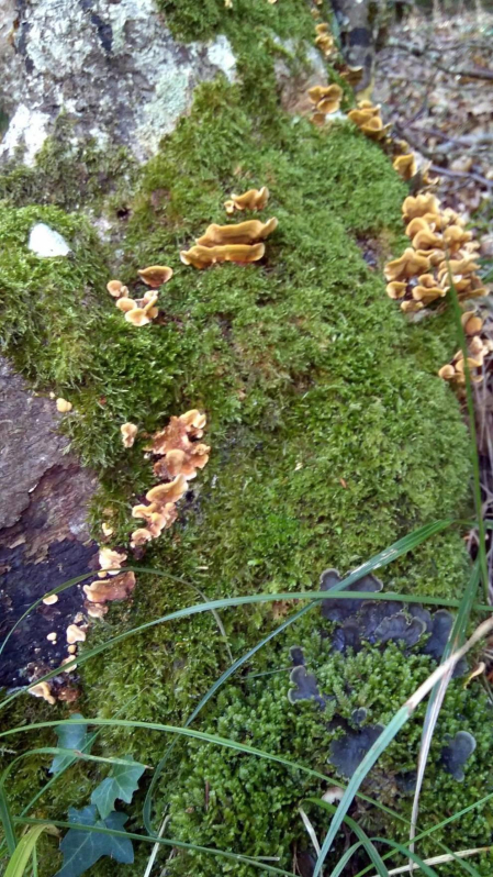 El otoño, retratado por los lectores de Diariodenavarra.es.