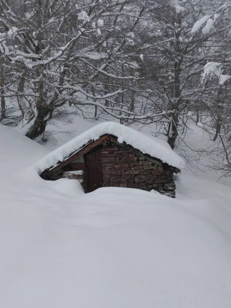 Fotos de la nieve enviadas por los lectores