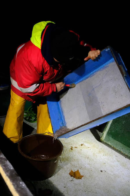 Reportaje gráfico de la pesca de la angula en Francia hasta que llega a una pescadería de Pamplona