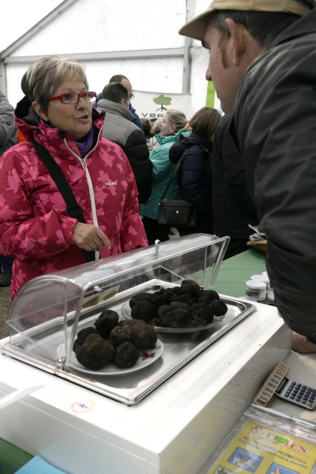 Desde los pedazos más pequeños por 5€ hasta lo que los bolsillos de los compradores se pudieran permitir, la XVI Feria de la Trufa vendió este esquisto producto a 1.000€ el kilo.