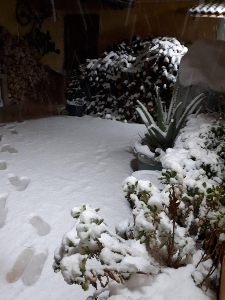 Imágenes enviadas por los lectores de Diario de Navarra de las luvias y las nieves del 6 de enero de 2018.