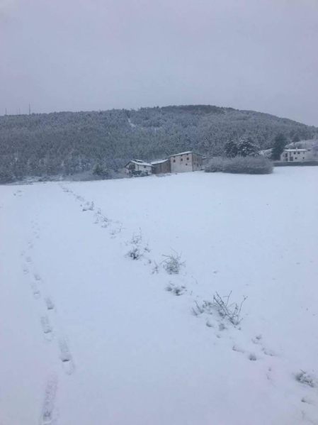 Imágenes enviadas por los lectores de Diario de Navarra de las luvias y las nieves del 6 de enero de 2018.