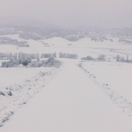 Imágenes enviadas por los lectores de Diario de Navarra de las luvias y las nieves del 6 de enero de 2018.