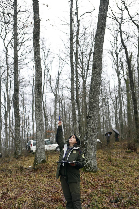 El guarderío forestal vela por el cuidado del monte bajo la máxima y la demanda de respeto. Las amenazas son "residuales".