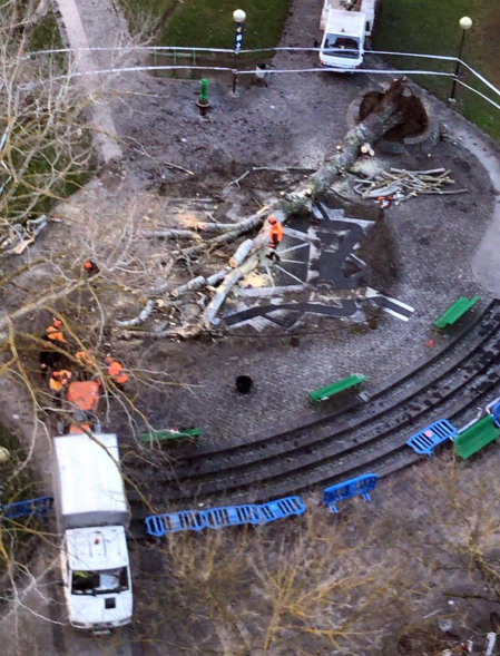 Dos heridos al caerles un árbol en la Vuelta del Castillo de Pamplona