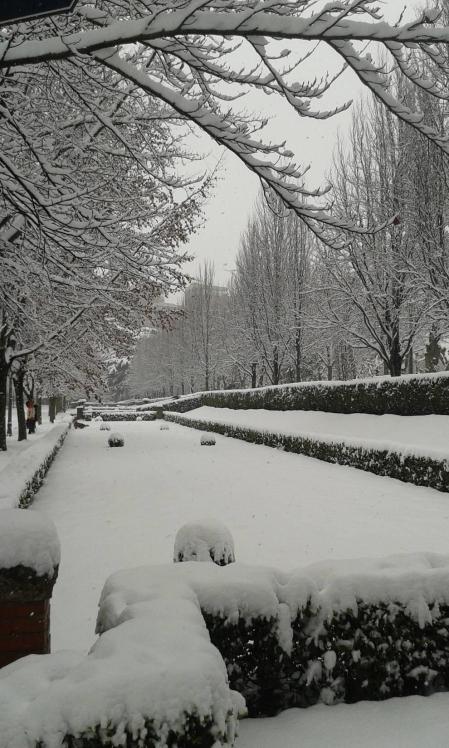 Estampas de todos los rincones de Navarra bajo el manto blanco caído el último día de febrero.