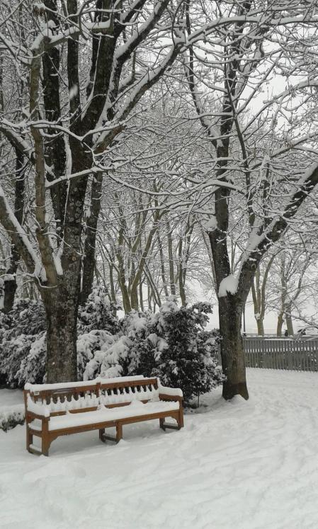 Estampas de todos los rincones de Navarra bajo el manto blanco caído el último día de febrero.