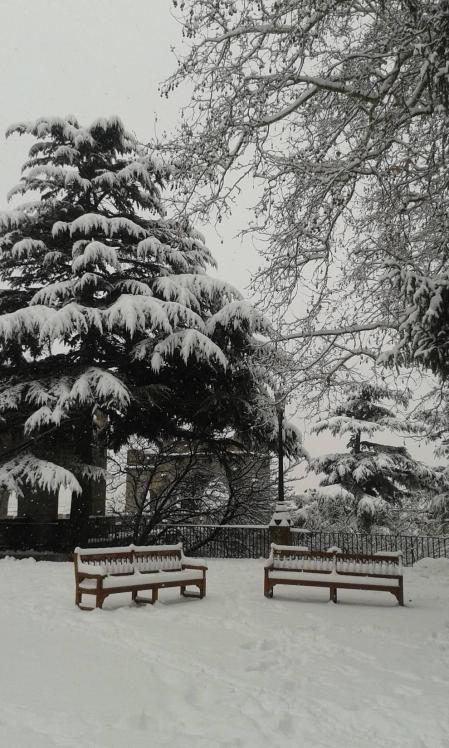 Estampas de todos los rincones de Navarra bajo el manto blanco caído el último día de febrero.