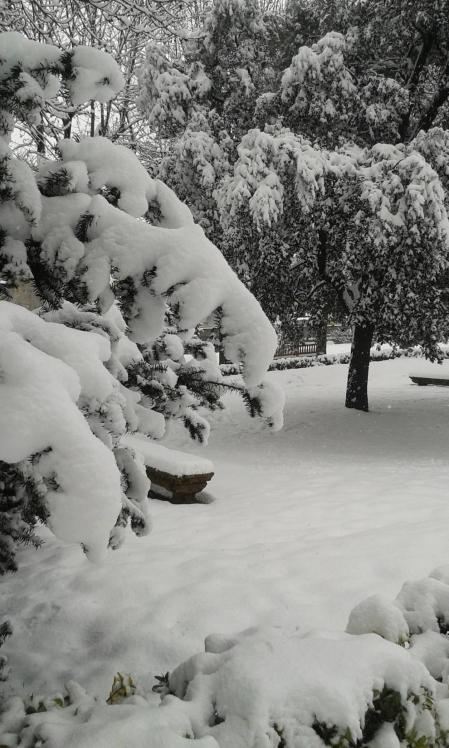 Estampas de todos los rincones de Navarra bajo el manto blanco caído el último día de febrero.