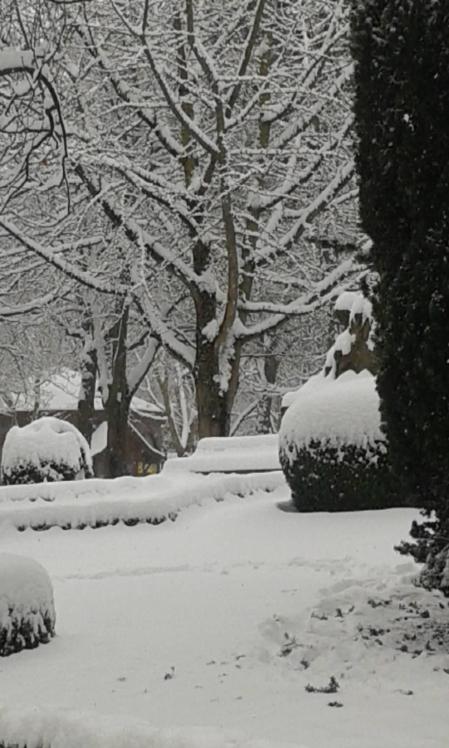 Estampas de todos los rincones de Navarra bajo el manto blanco caído el último día de febrero.