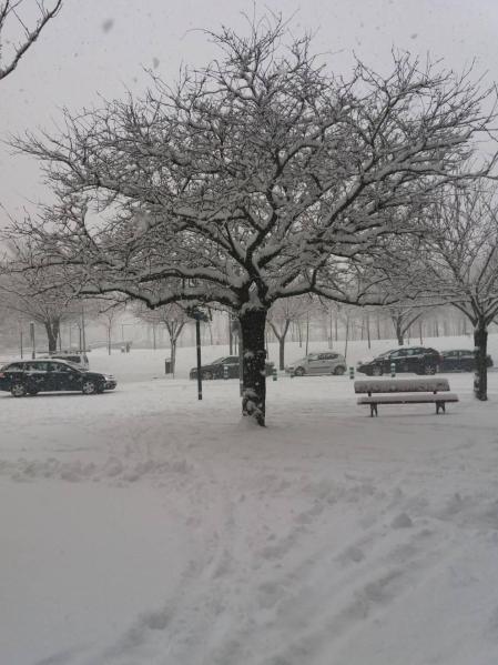 Estampas de todos los rincones de Navarra bajo el manto blanco caído el último día de febrero.