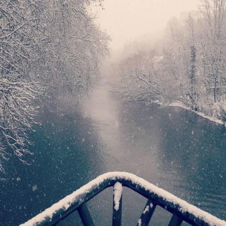Estampas de todos los rincones de Navarra bajo el manto blanco caído el último día de febrero.