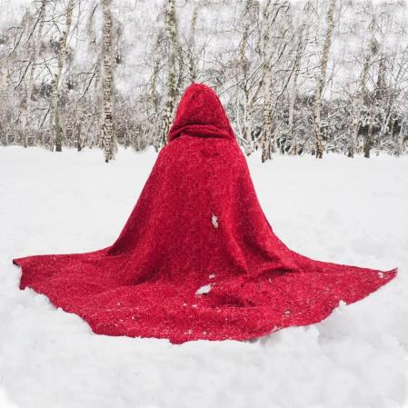 Estampas de todos los rincones de Navarra bajo el manto blanco caído el último día de febrero.