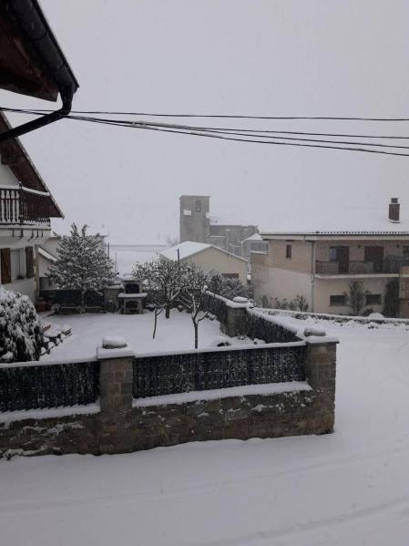 Estampas de todos los rincones de Navarra bajo el manto blanco caído el último día de febrero.