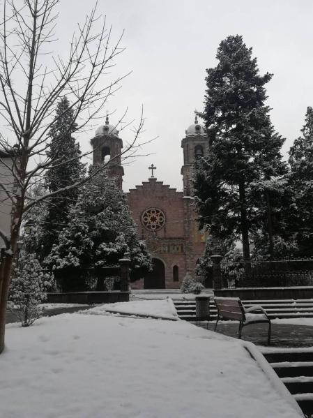 Estampas de todos los rincones de Navarra bajo el manto blanco caído el último día de febrero.