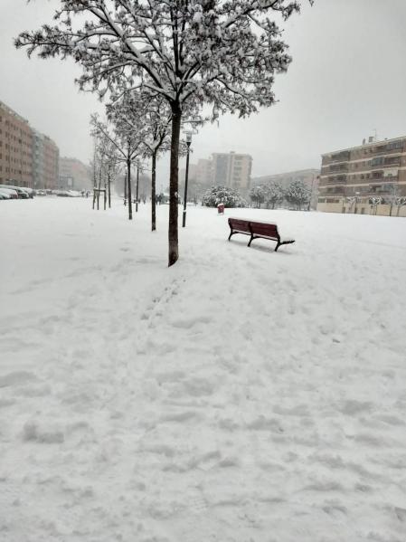 Estampas de todos los rincones de Navarra bajo el manto blanco caído el último día de febrero.
