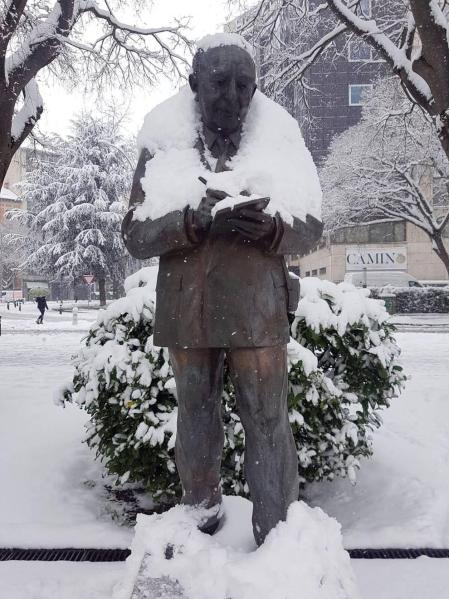 Estampas de todos los rincones de Navarra bajo el manto blanco caído el último día de febrero.