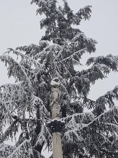 Estampas de todos los rincones de Navarra bajo el manto blanco caído el último día de febrero.