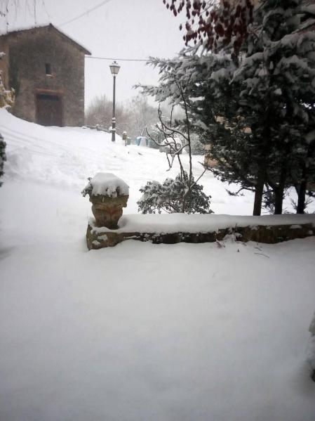 Estampas de todos los rincones de Navarra bajo el manto blanco caído el último día de febrero.