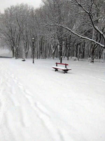 Estampas de todos los rincones de Navarra bajo el manto blanco caído el último día de febrero.