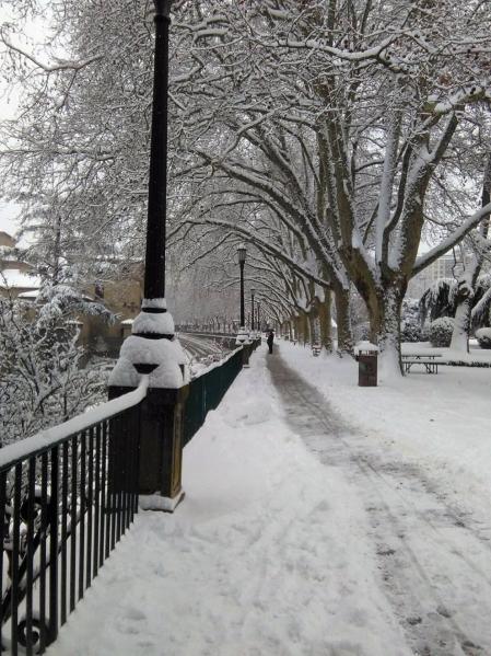 Estampas de todos los rincones de Navarra bajo el manto blanco caído el último día de febrero.